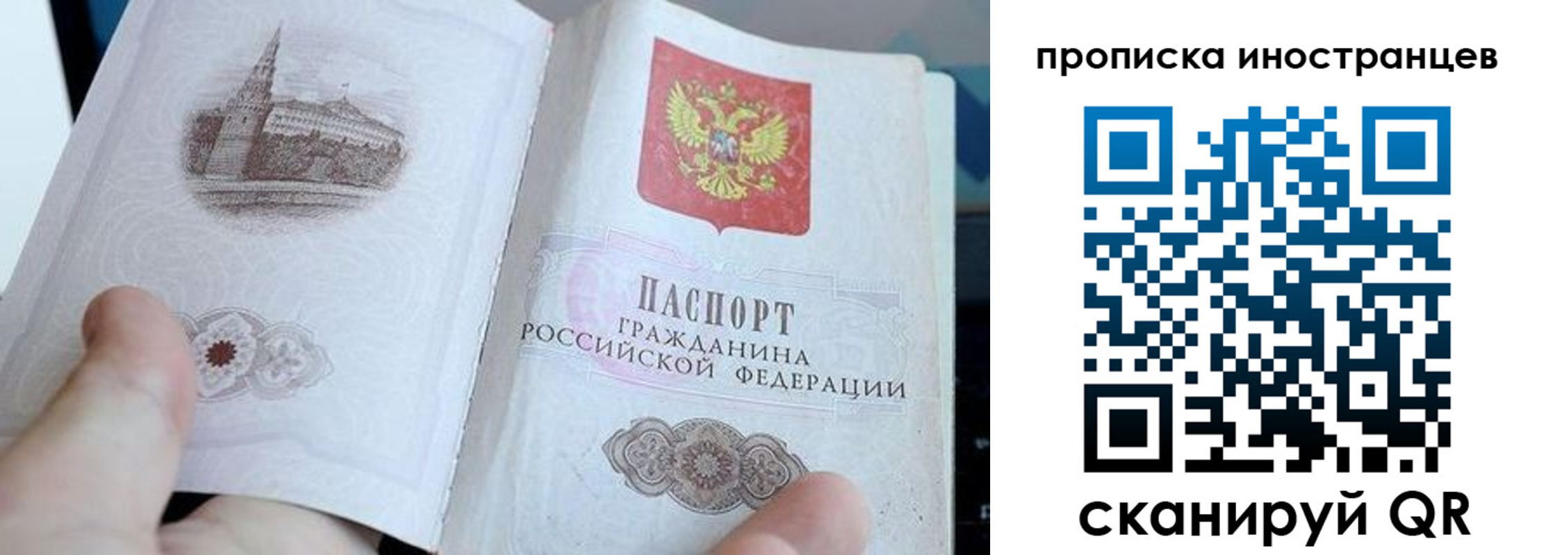 прописка поиск в Бабаево